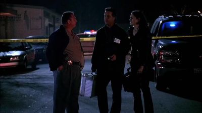 Blonde
       behind the wheel. - CSI: Crime Scene Investigation
