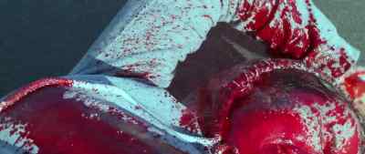 (blood gushing)
(music continues) - Bad Fish