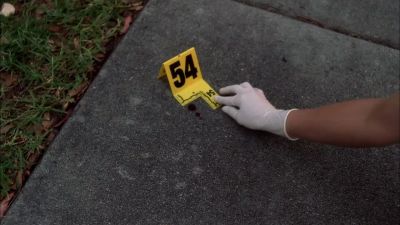 Blood leads into the grass. - CSI: Crime Scene Investigation