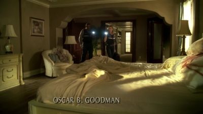 Blood on the bed, - CSI: Crime Scene Investigation