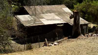 [blood splatters]
[Dan moaning] - Death Camp