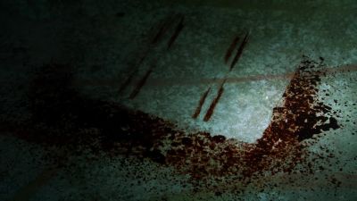 Blood void.
Got a spent
shell over here. - CSI: Crime Scene Investigation