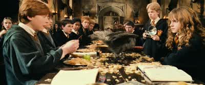 Oh, no. - Harry Potter and the Chamber of Secrets