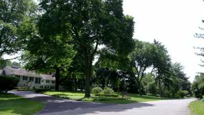 BLOOMFIELD TOWNSHIP
IS AN AFFLUENT COMMUNITY - Children of the Snow