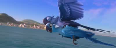 Blu You're flyingYeahl'm flying l'm really flyingYou're right l'm not an ostrich l'm not an ostrich - Rio