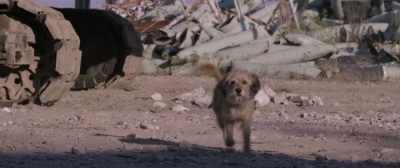 {\ blur3.7}(BARKING) - Benji