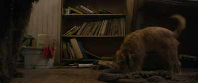 {\ blur3.7}(BARKS) - Benji