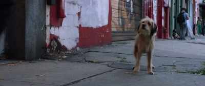 {\ blur3.7}(INDISTINCT SHRIEKING) - Benji