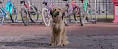 {\ blur3.7}♪ Ooh ♪ - Benji