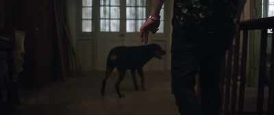 {\ blur3.7}Where could he be?
(BOTH GASP) - Benji