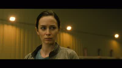 Bob: I guess we're not following any procedures. - Sicario