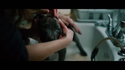 BOB: Is it bad? - The Drop