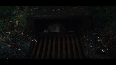 [Bobby, awe-struck] Whoa. - Sweet Tooth
