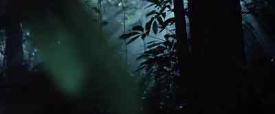 Body clocks tick away - Our Universe