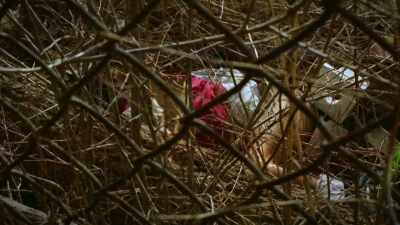 BODY WAS PRETTY DECOMPOSED,
SO MUCH SO THAT - The 93 Victims of Samuel Little
