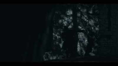 ‐Bodyguard...
‐But following someone blindly - Y: The Last Man