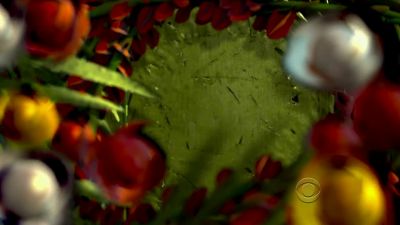 Bomb was designed
to maximize chaos... injuries. - CSI: Crime Scene Investigation