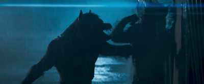 - [bone cracks]
- [grunts] - Werewolves
