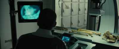 Bones all dismantled,
fully cleaned, - Blade Runner 2049