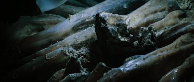 Bones are bent outward, - Alien