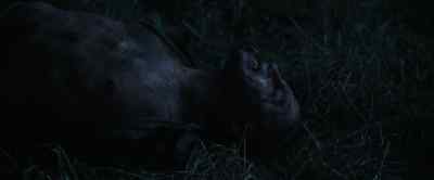 (Bones crunching) - Wolf Man