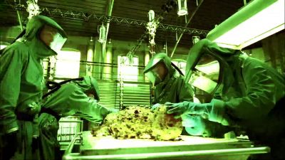 BONES
Episode 4x16
"The bones that foam" - Bones