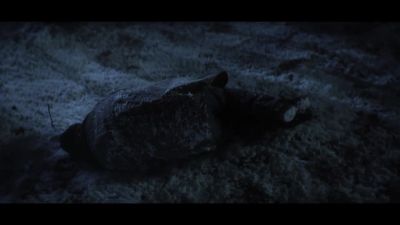 -[bones snap]
-[groaning] - Doom Patrol