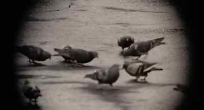 (bongos playing) - Leo the Last