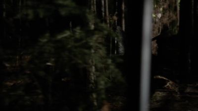 Bonnie! - The Vampire Diaries