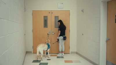 Bonus needs
some confidence building, - Inside the Mind of a Dog