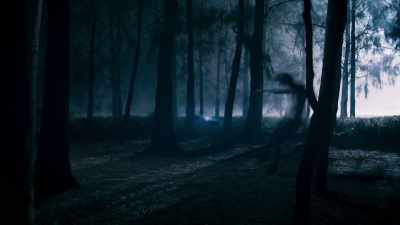 - [book whooshes] - The Bureau of Magical Things