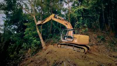 BORNEO'S RAIN FOREST
IS UNDER REAL THREAT - Expedition Mungo