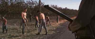 - Boss, drinking it up here?
- All right. - Cool Hand Luke
