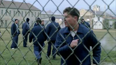 Boss. I heard avocado cut his hose on your bunk. - Prison Break