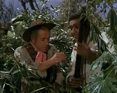 Boss, look! - Carry On Up the Jungle