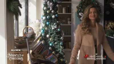 [BOTH CHUCKLE] - A Godwink Christmas: Second Chance, First Love