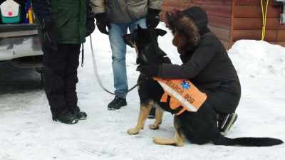 Both dogs have thousands
of hours of training - The Disappearance of Maura Murray
