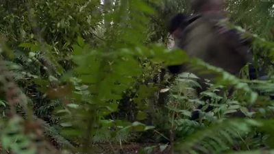 (BOTH GRUNTING) - Grimm