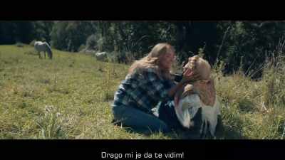 [both laughing] - The Taming of the Shrewd