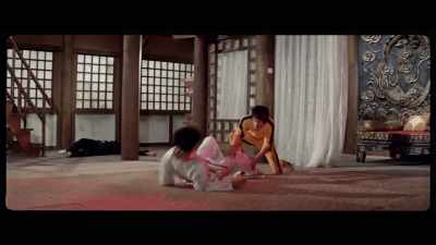 'Both men trade a series of kicks, - The Final Game of Death