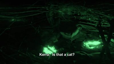          [both speaking] - Naked and Afraid