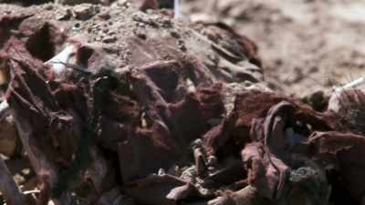 BOTH VICTIMS LOOK LIKE
THEY WERE KILLED ELSEWHERE - Bloodlands