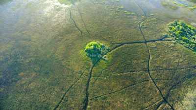 Botswana in Southern Africa, - In the Footsteps of Elephant