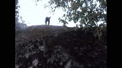 Bouldering's just about
athleticism - The Dawn Wall