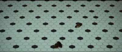 (box clattering)
(ominous music) - Dropa