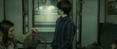 BOY: Come on, Jay, get a move on. - Harry Potter and the Deathly Hallows: Part 2