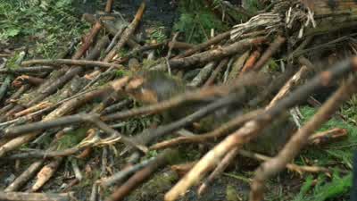 - Boy: Find any water yet? - The 100