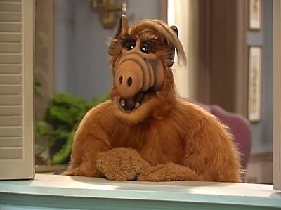      Boy, is she gullible. - ALF