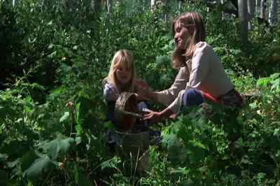 Boy, these ought to last us
a whole year. - The Adventures of the Wilderness Family