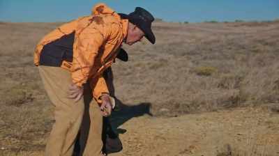 BOY, WOULDN'T THAT BE SOMETHING?
-THAT WOULD BE MORE - Dino Hunters